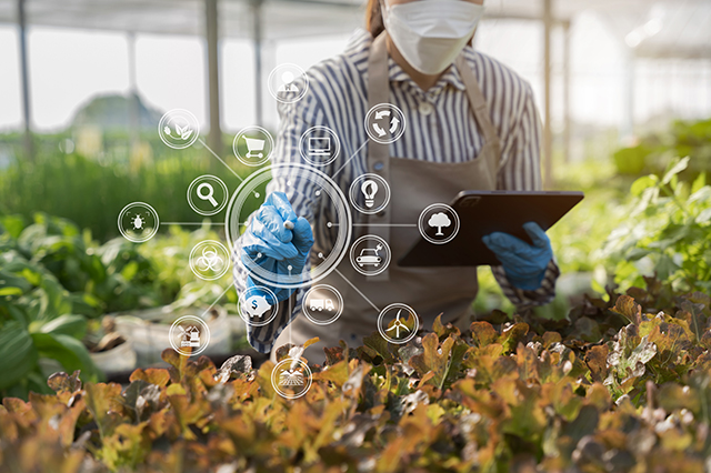 AI in Agriculture